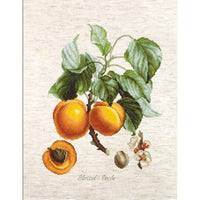 Counted Cross stitch kit Peaches Luca-S DIY Unprinted canvas (Aida) - DIY-craftkits