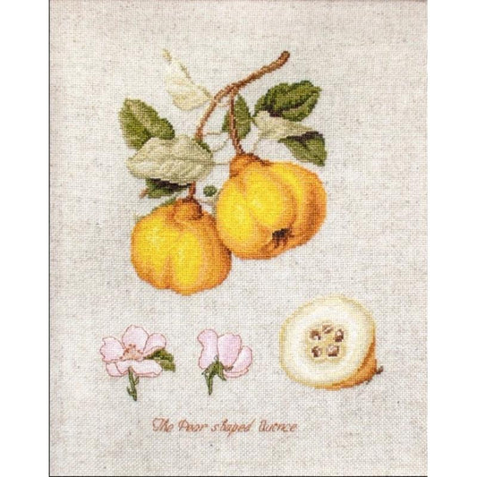 Counted Cross stitch kit Quince Luca-S DIY Unprinted canvas (Perleinen) - DIY-craftkits