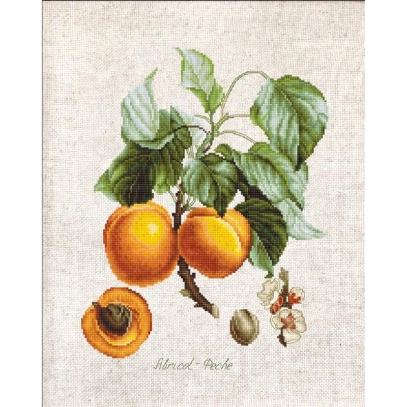 Counted Cross stitch kit Peaches Luca-S DIY Unprinted canvas (Perleinen) - DIY-craftkits