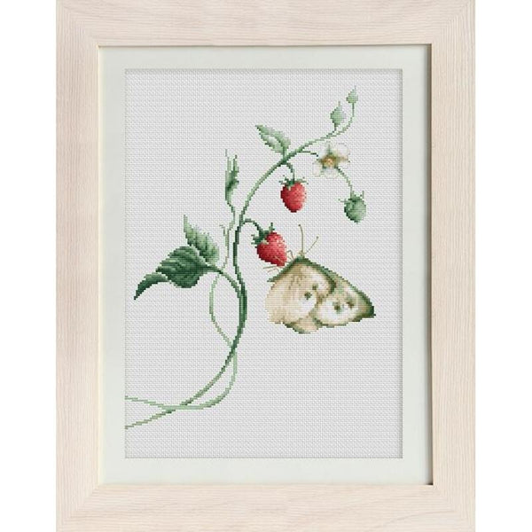 Counted Cross stitch kit Butterfly Luca-S DIY Unprinted canvas - DIY-craftkits