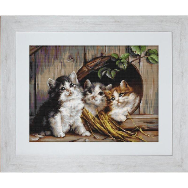 Counted Cross stitch kit Cats Luca-S DIY Unprinted canvas - DIY-craftkits