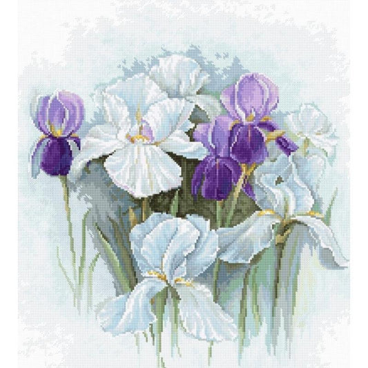 Counted Cross stitch kit Irises Luca-S DIY Unprinted canvas - DIY-craftkits