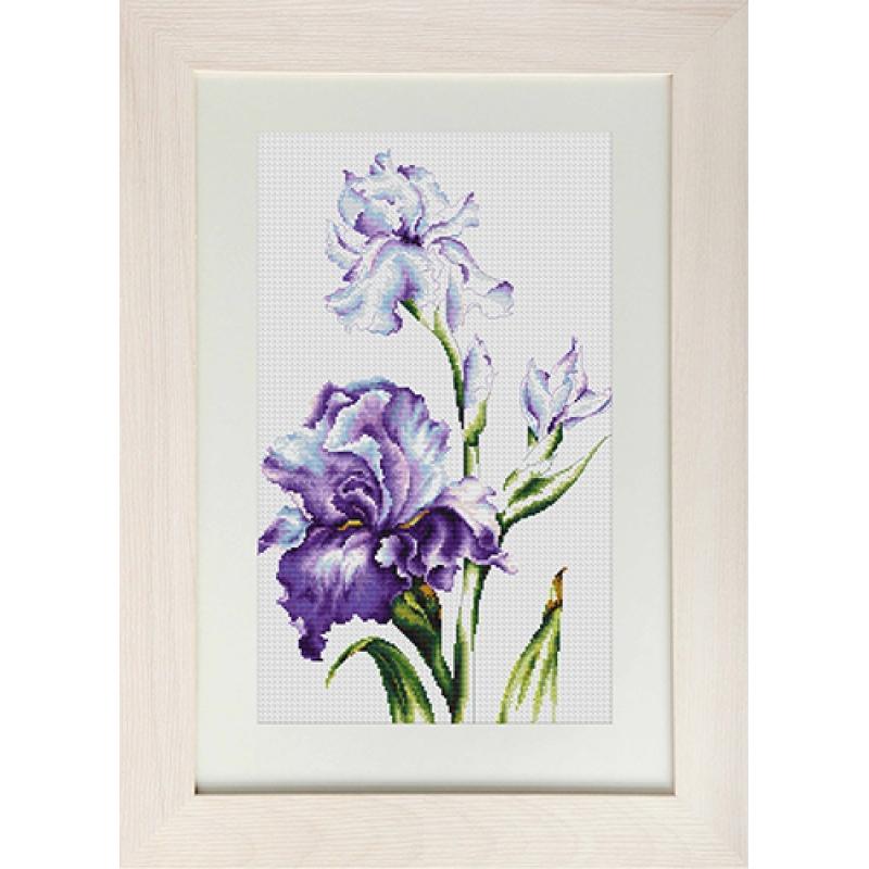 Counted Cross stitch kit Irises Luca-S DIY Unprinted canvas - DIY-craftkits