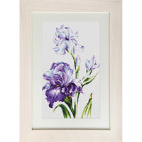 Counted Cross stitch kit Irises Luca-S DIY Unprinted canvas - DIY-craftkits