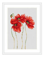 Counted Cross stitch kit Poppies Luca-S DIY Unprinted canvas - DIY-craftkits